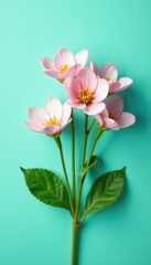 Obraz premium Vibrant mint bunch, turquoise backdrop Clean, minimalist design , healing, aromatherapy, leaves
