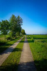 Straight path through green fields with trees on the left, a clear blue sky in the background,...