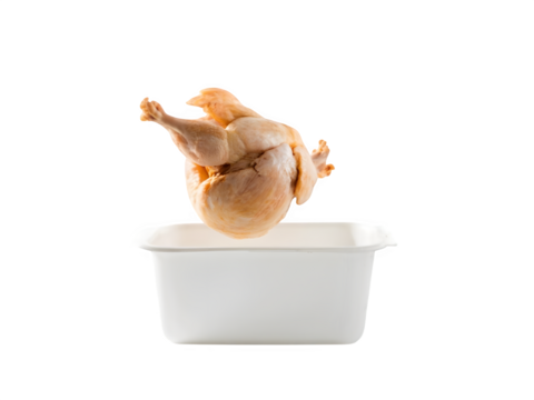 A chicken is being dropped into a container with a plain white background.


