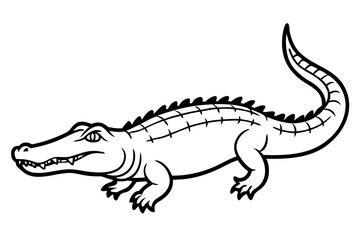 Crocodile Outline Illustration