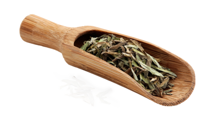 Bamboo scoop filled with dried boldo leaves on transparent background