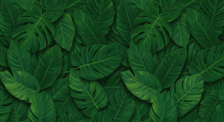 Fototapeta premium Lush Green Tropical Leaves Background Perfect for Nature-Themed Designs