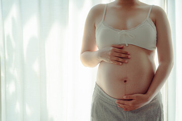 pregnant woman's belly.