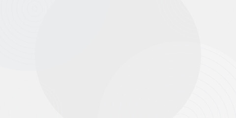 White geometric abstract background overlap layer on bright space with lines effect decoration. Modern graphic design element circles style concept for banner.