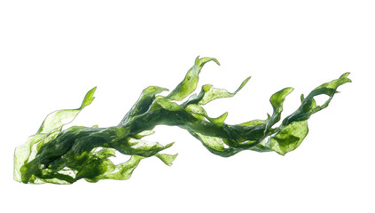 Bright green seaweed, intricate, flowing