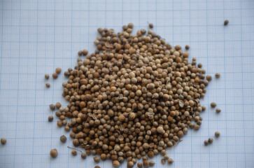 coriander seed on graph paper for the concept of size