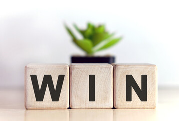Win concept on wooden cubes and flower in a pot in the background