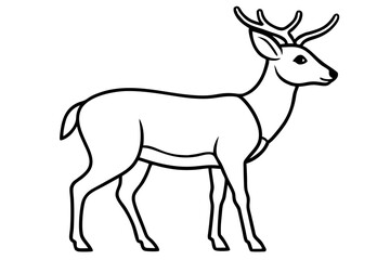 Minimalist Deer Line Art