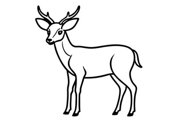 Minimalist Deer Line Art