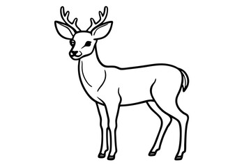 Minimalist Deer Line Art