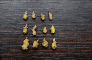 A collection of potatoes covered with sprouted roots, showcasing their growth patterns. Cut out potato samples indicating prolonged storage and potential cultivation. High quality photo.