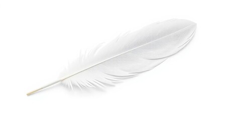 Delicate single white feather isolated on pure white background,  ethereal, white feather