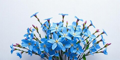 Delicate blue blossoms in elegant arrangement against textured backdrop,  close-up,  floral design