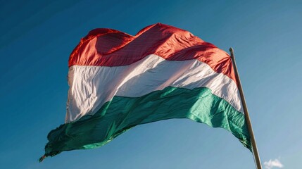 Tricolor flag waving in front of a clear sky