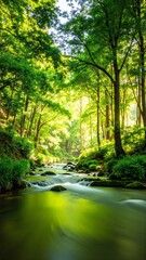 Obraz premium A serene stream meanders through a lush forest, surrounded by vibrant green trees, dappled sunlight filtering through the leaves, creating a tranquil atmosphere.