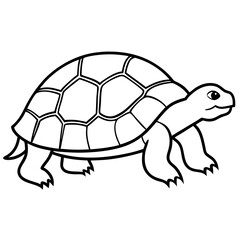 Minimalist Tortoise Line Art