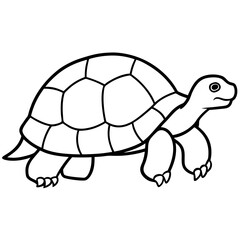 Minimalist Tortoise Line Art