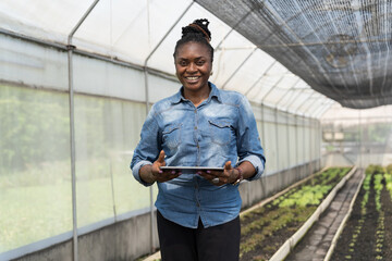 Cultivating vegetable plot. Vegetable growing in organic farm. Greenhouse vegetable farm. African American botanist study and research structure and biological processes of plants in vegetable farm