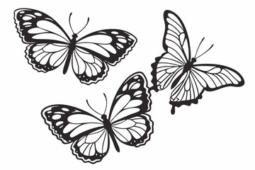 Fototapeta premium Black Butterfly Vector Set – Winged Insect Silhouettes