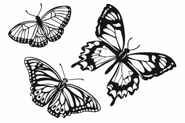 Black Butterfly Vector Set – Winged Insect Silhouettes