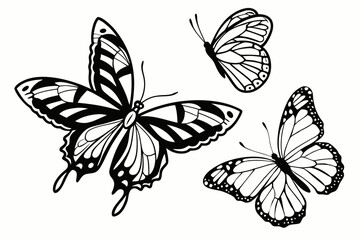 Black Butterfly Silhouettes – Diverse Wing Shapes on White