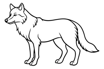 Wild Wolf Outline