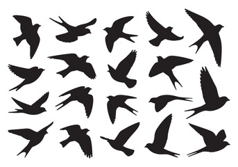 Collection of Bird Silhouettes in Flight, Black Flying Poses on White Background.
