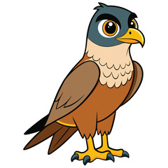 Fototapeta premium Falcon white background