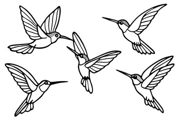 Hummingbird Line Art Bundle