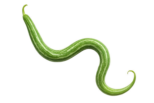 Fresh Green Snake Gourd with Natural Shine and Curved Shape on White Background &ndash; High-Resolution Image for Food and Agriculture Use.