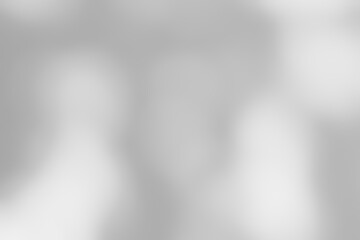 Shadow of leaves tree plant overlay on white wall. Sunlight effect shadow on the wall. Minimal blurred backdrop backgrounds. Summer tropical surface background.