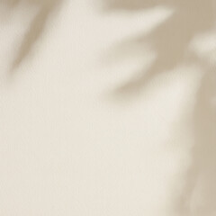Obraz premium Soft beige background with overlay of plant shadows
