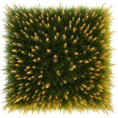 Vibrant Green and Gold Artificial Grass Texture: Perfect for Design Projects on transparent background