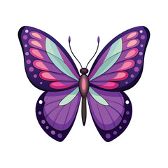 beautiful purple butterfly isolated on white background.
