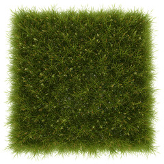 Green Grass Texture: Lush Lawn Background for Design Projects on transparent background
