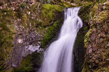Fototapeta premium Edelfrauenwasserfall im Schwarzwald