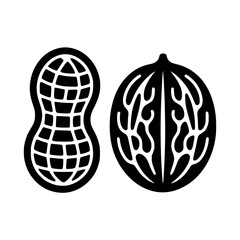 Peanut and walnut icon