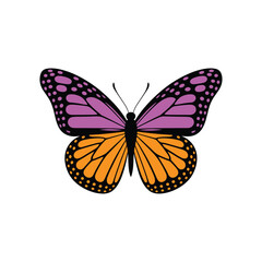 Purple and Orange Butterfly Vector Illustration on White Background.