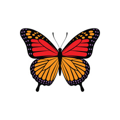 Red and Orange Monarch Butterfly Vector on White Background.