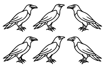 Raven Outline Design Collection