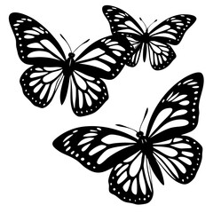 set of vector butterflies