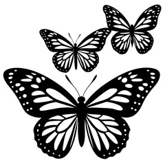 butterfly vector illustration