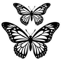 butterfly vector illustration