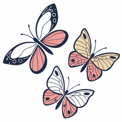 Fototapeta premium butterfly and flowers