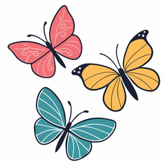 butterfly and flowers