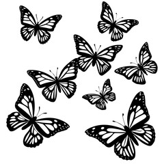 Obraz premium set of vector butterflies