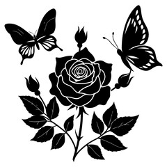 black and white rose