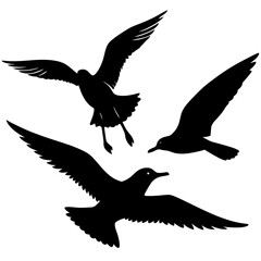 set of silhouettes of birds