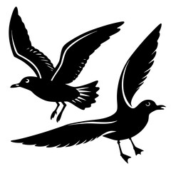 vector illustration of a bird