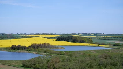 Fotobehang Blauwe hemel Scenic landscape of Samso featuring bright mustard fields, a small lake, and lush green trees.  © Chandana